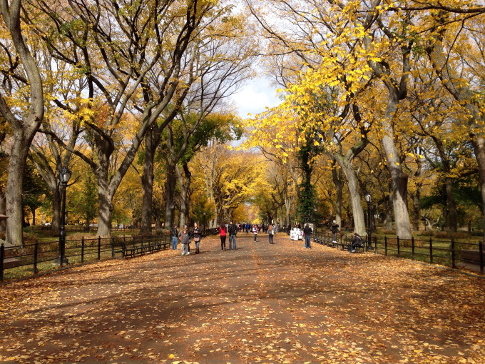 The Mall, Central Park, New York